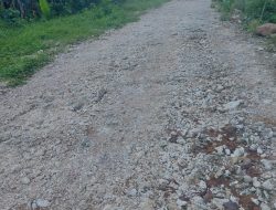 Habiskan Anggaran Rp 38,5 Miliar Lebih, Dua Paket Jalan Di Kayoa Jadi “Sinyole”
