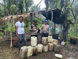 Tekan Angka Peredaran, Polsek Gane Barat, Musnahkan Satu Tempat Penyulingan Miras